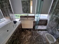 Suites @ Cairnhill (D9), Apartment #470828851
